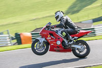 Lower Group Red Bikes